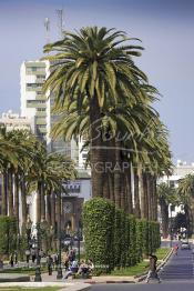 Image du Maroc Professionnelle de  Le Boulevard Mohammed V situé au Centre ville de Rabat est considéré comme la plus belle avenue du Maroc. Celle-ci nécessite une véritable rénovation. le 2 Mars 2007. (Photo / Abdeljalil Bounhar)